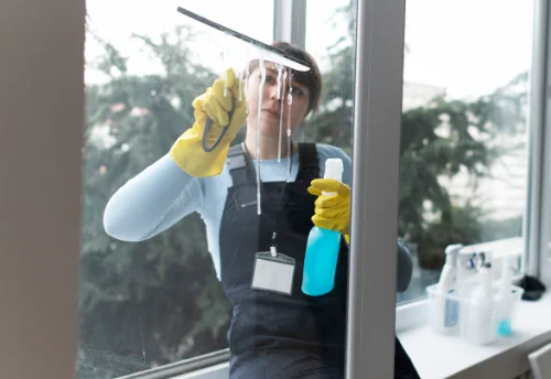 Nettoyage de vitres intérieures et extérieures à Tournissan